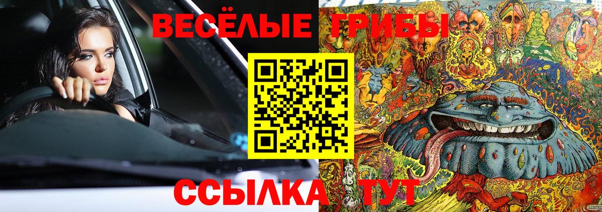 Псилоцибиновые грибы мицелий Реутов