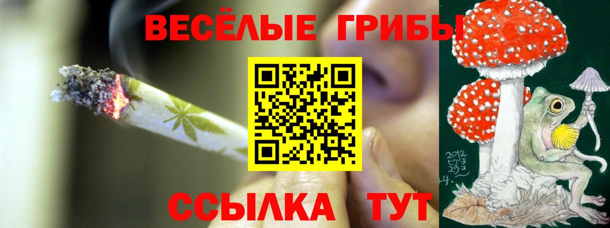 Галлюциногенные грибы прущие грибы  Галлюциногенные грибы прущие грибы  Вход с VPN  Реутов 