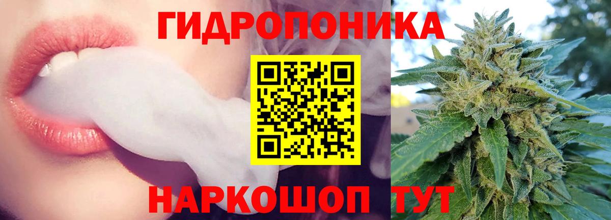 Каннабис OG Kush  Вход с VPN  Марихуана планчик  Марихуана марихуана  Реутов 